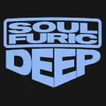 soulfuric_records_box